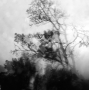 20150927_1067web