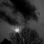20151109_1564-web
