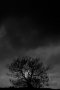 20161120_3919web