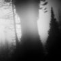 20170212_4118pro-1-web
