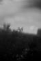 20170904_4700pro-web