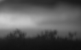 20170904_4858xxpro-web