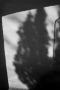20180324_7454-zw-wit-web