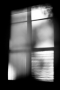 dsc_0087_2