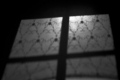 dsc_0127-zw