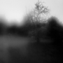 webdsc_0174_1
